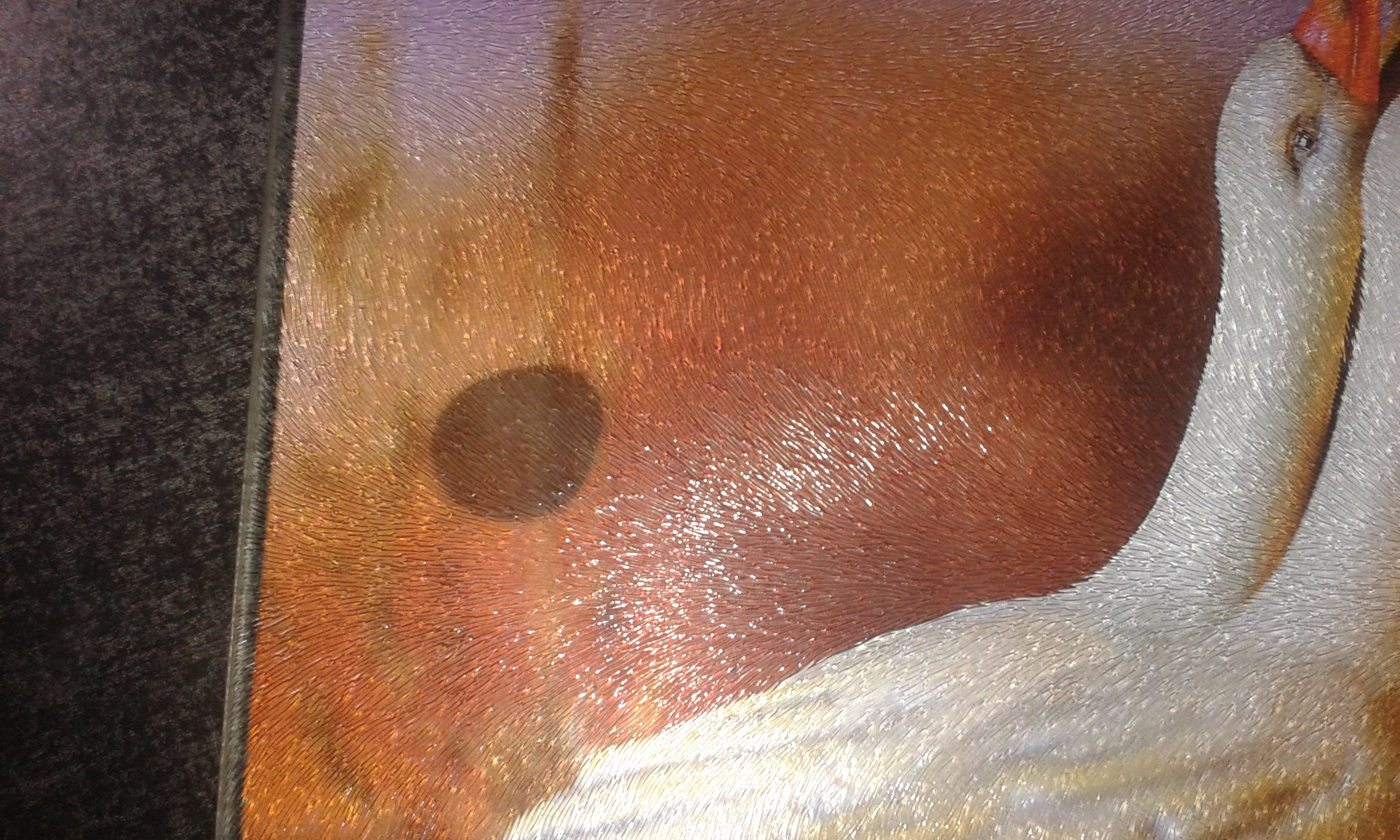 Hummel motívumos főzőlap takaró üveglap 1 db H. Hummel motívumos főzőlap takaró üveglap 1 db H.